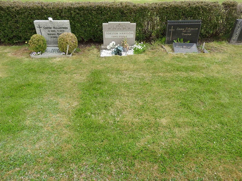 Gravnummer: BK L    11