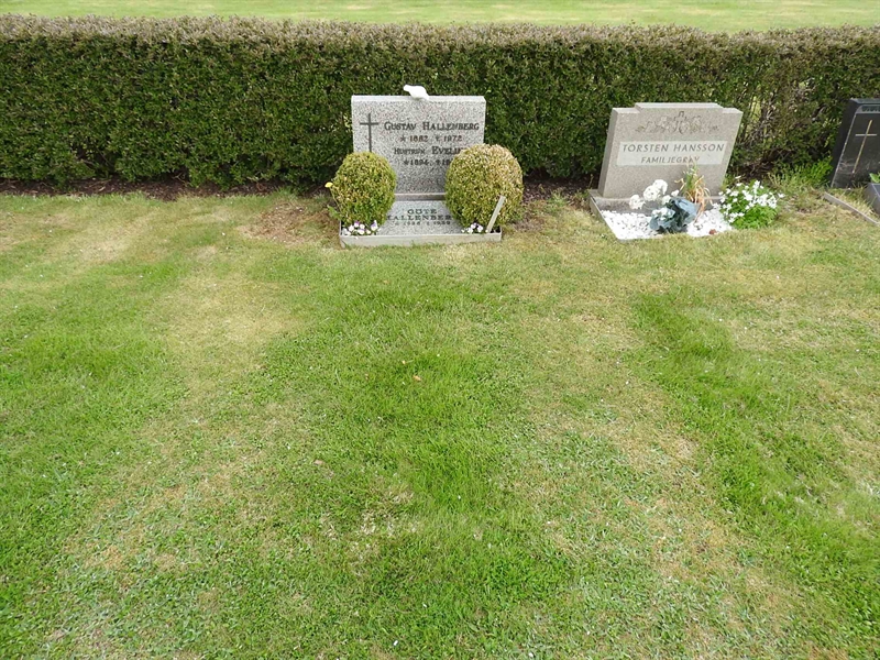 Gravnummer: BK L    12