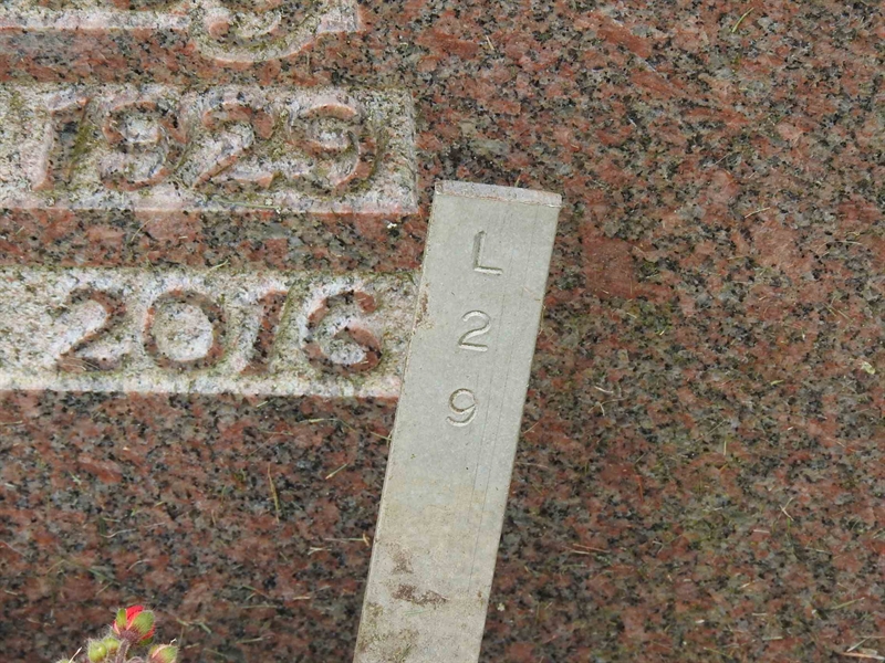 Gravnummer: BK L    29