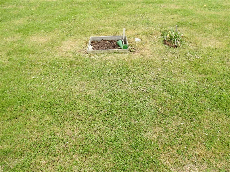 Gravnummer: BK L    77