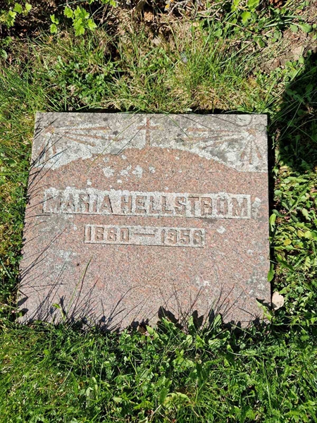 Grave number: 501 16 3104