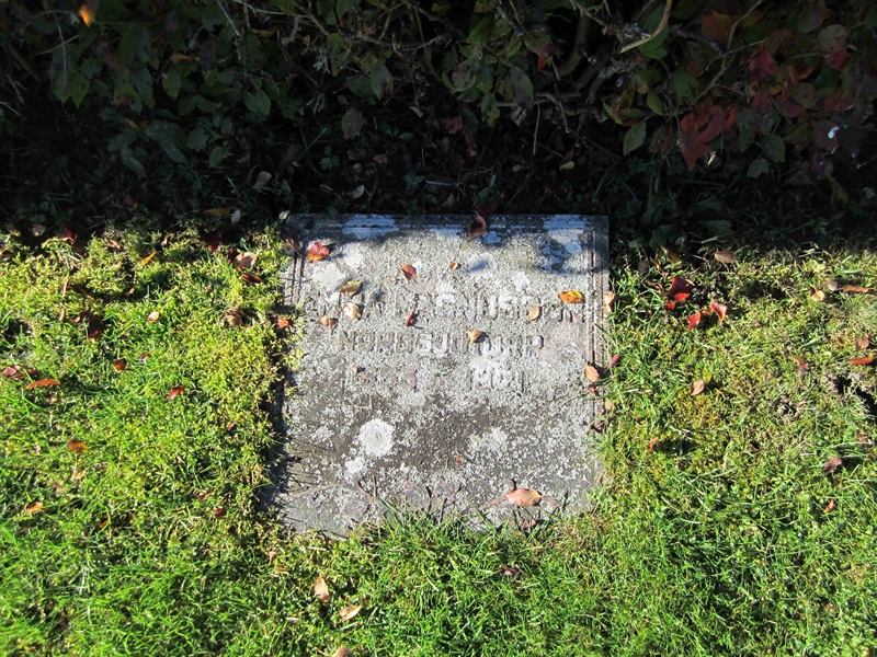 Grave number: 1 19   105