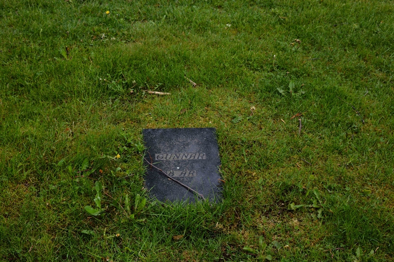 Grave number: SRN 4   345