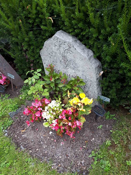 Hautatunnus: GK U 4    48