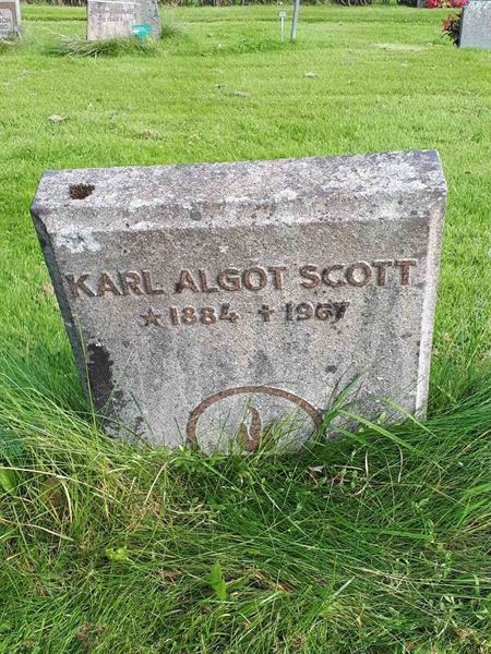 Hautatunnus: NK F B   802