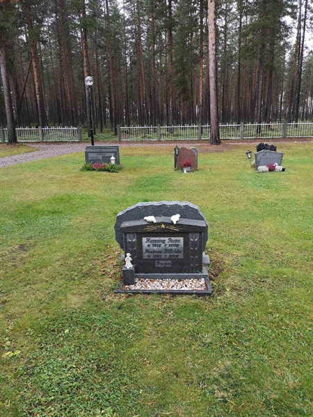 Hautatunnus: VLM 13    74-75