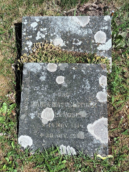 Grave number: SÖ 04    82