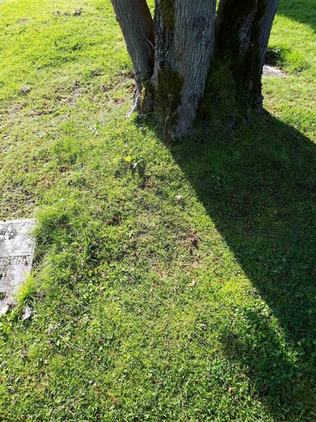 Gravnummer: NK A A   271A