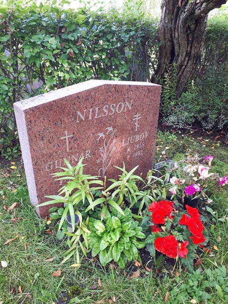 Hautatunnus: NK F D    56