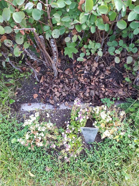 Grave number: NK F B   219A