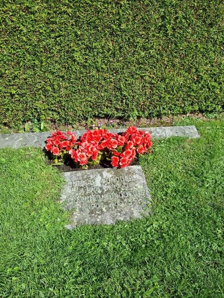 Grave number: 1 05   32