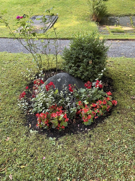 Hautatunnus: 1 B    41