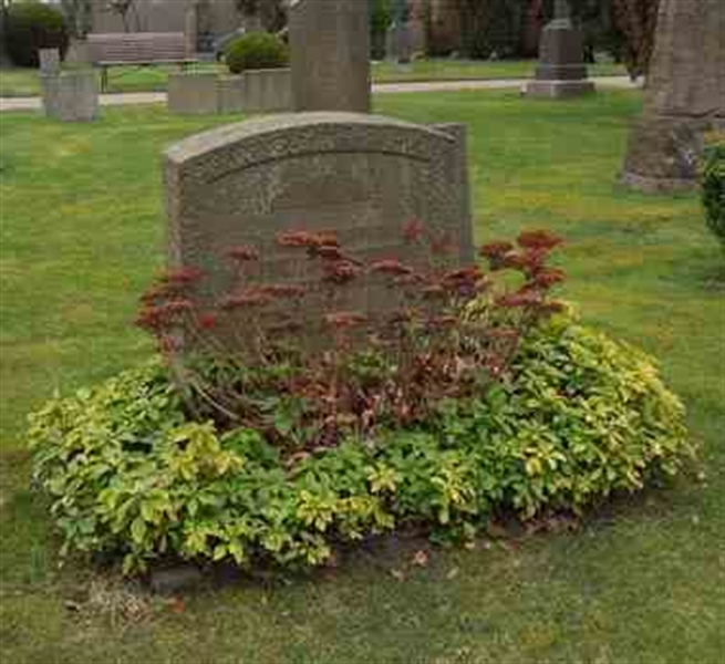Grave number: SN G    53