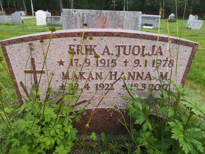 Hautatunnus: PK   237