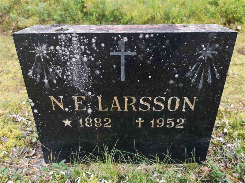 Hautatunnus: VLM 06     2:1