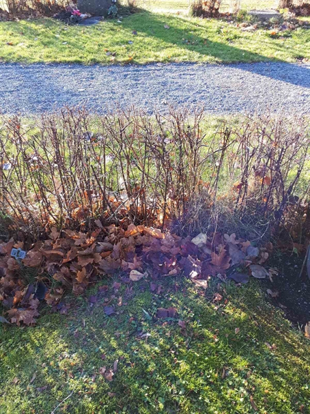 Hautatunnus: GK U 2    52