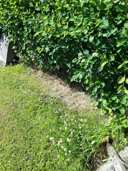 Grave number: GK A 5   169H