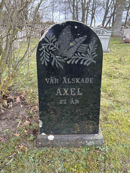 Grave number: LE 193