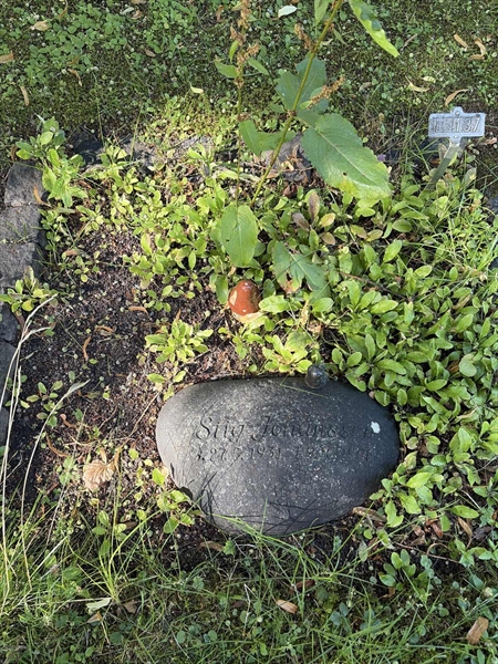 Hautatunnus: 1 I   137