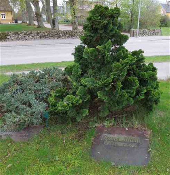 Grave number: SN HU    70