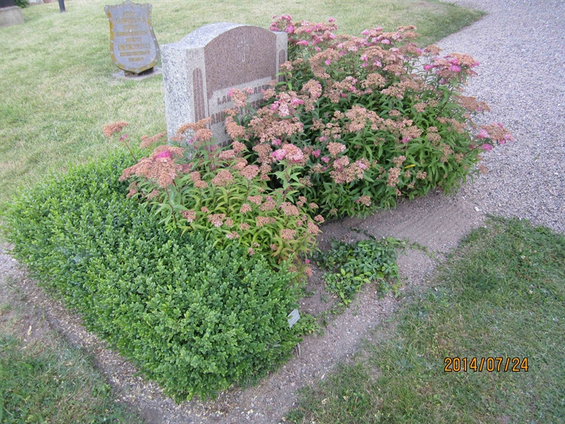 Grave number: 11 G   135