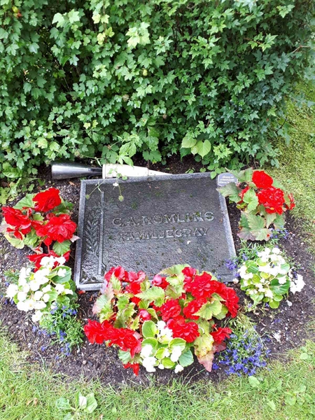 Hautatunnus: GK F 5   580