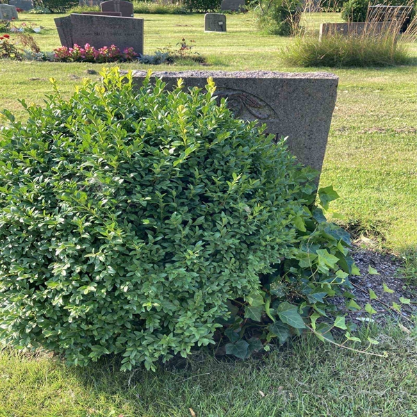 Grave number: 1 4 B   165-166