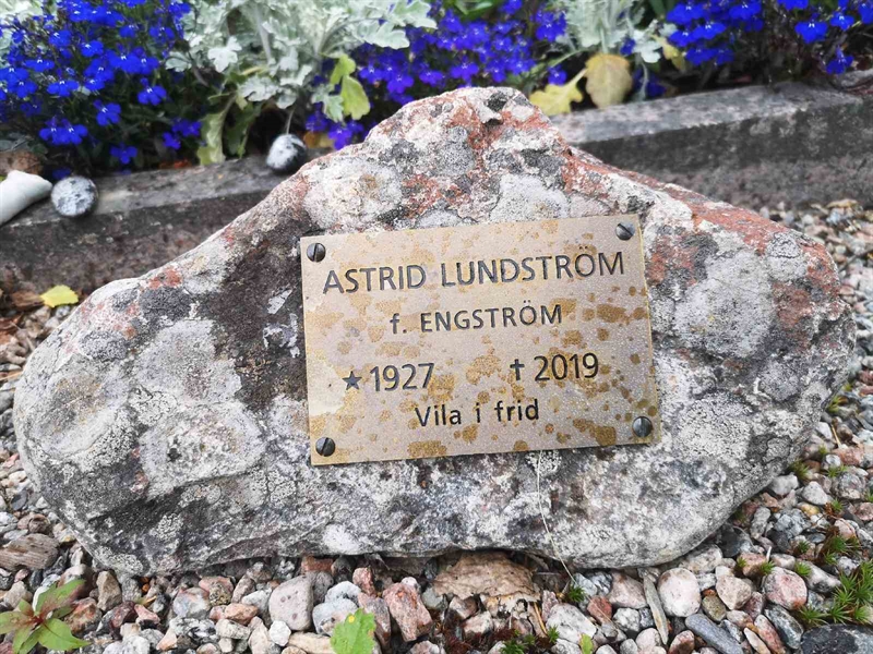 Hautatunnus: SK N    24