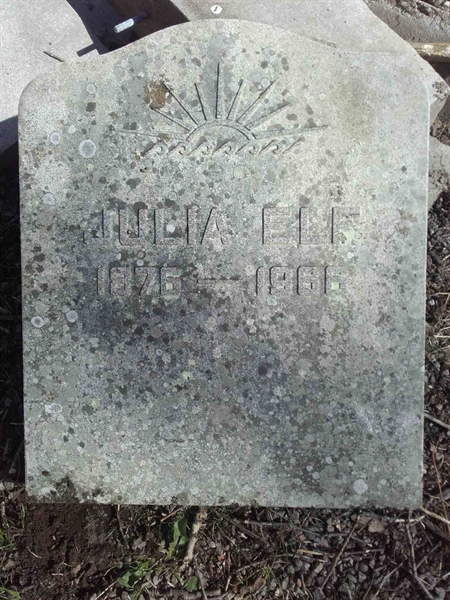 Grave number: HG MÅSEN   497