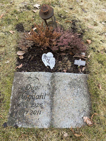 Gravnummer: 1 NA   823