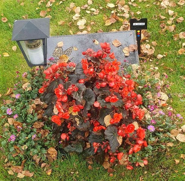 Grave number: 1 A 14C-14D