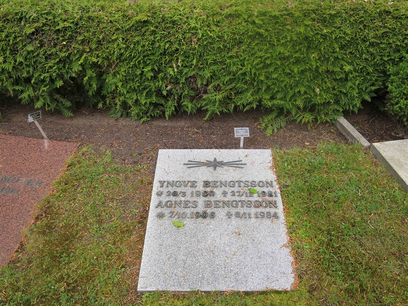 Grave number: HÖB N.UR   299