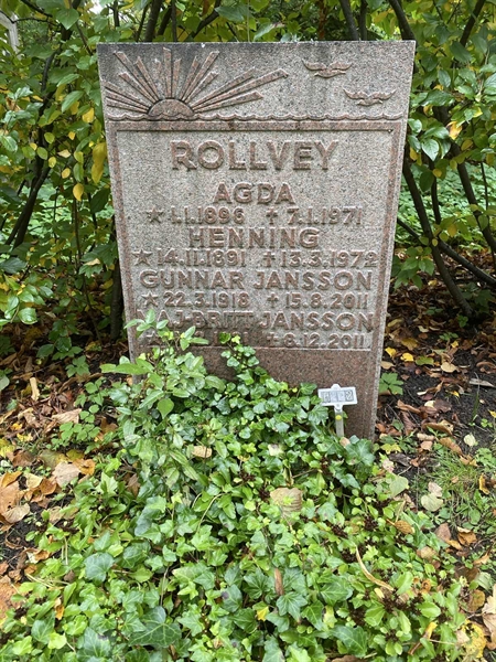 Hautatunnus: 1 H     2