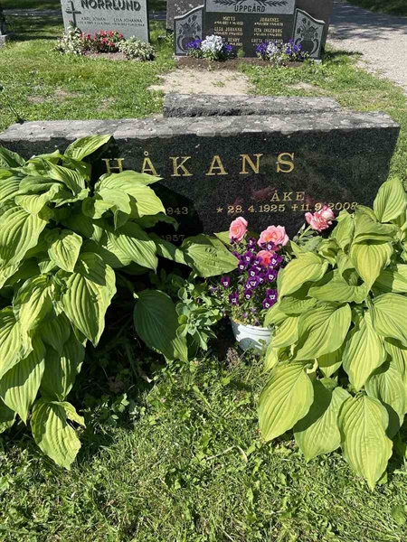 Gravnummer: N 5 2   258