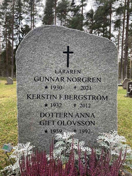 Grave number: 3 1    46