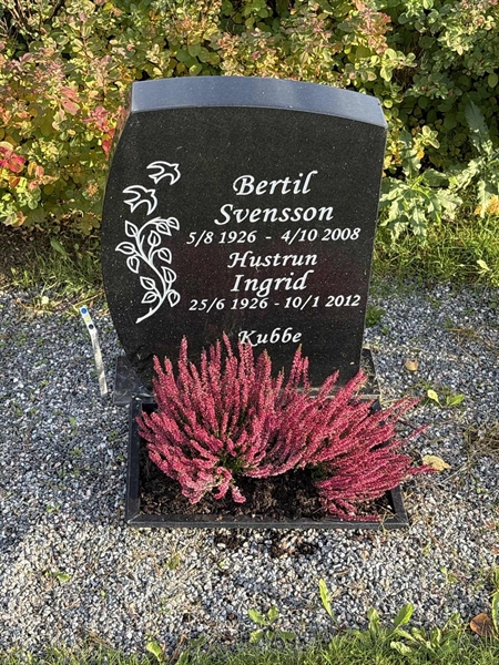 Grave number: 4 N ND   355