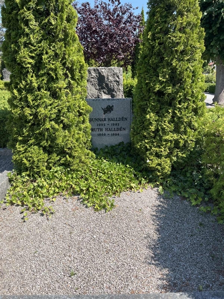 Hautatunnus: NK VIII    33