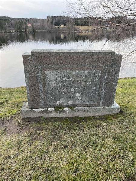 Hautatunnus: Vårv Kv1 45