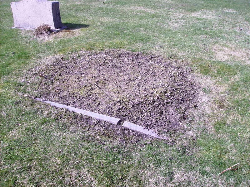 Grave number: LM 3 35  002