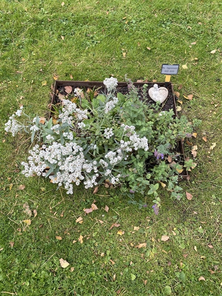 Hautatunnus: 2 C   632-633