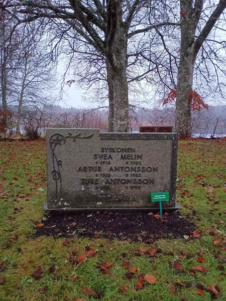 Grave number: 2 D    42, 43, 44