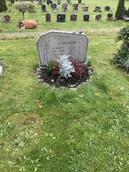 Grave number: 1 3 L1    12