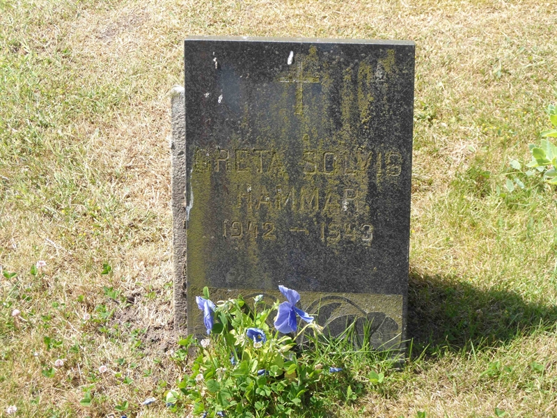 Grave number: ÖV I   119