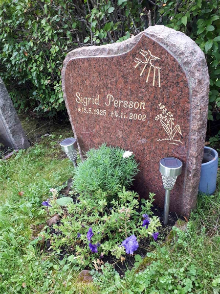 Hautatunnus: NK F D   279