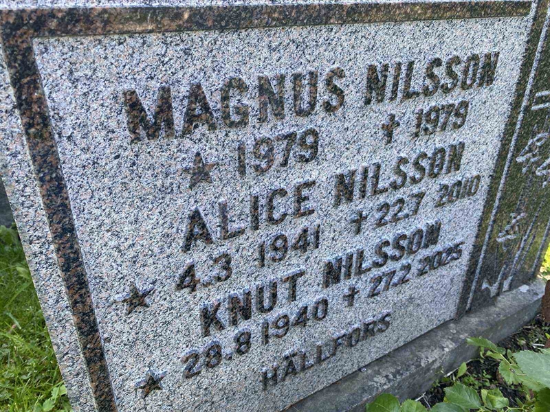 Grave number: 3 13    50