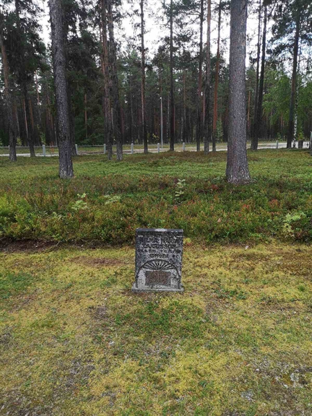 Hautatunnus: VLM 06     8:1