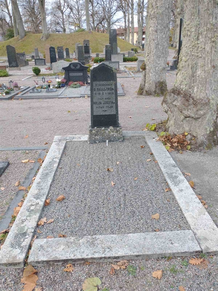Hautatunnus: VK D 122, 123