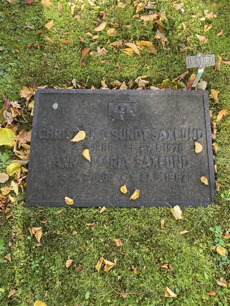 Hautatunnus: 1 H   197