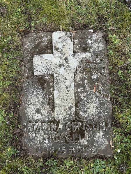 Gravnummer: LE   345