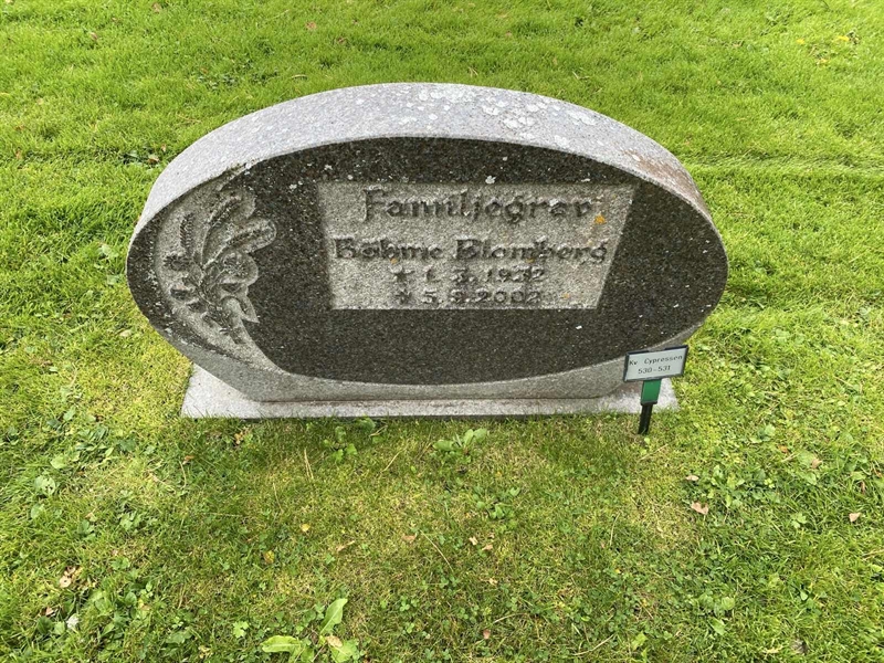 Hautatunnus: 2 C   530-531